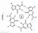 Fig. 02 - Label-free optical sensing and characterization of biomolecules by dor dmetal complexes