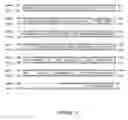 Fig. 02 - Compositions, organisms and methodologies employing a novel human kinase