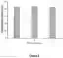 Fig. 08 - Increasing bioavailability of carotenoids