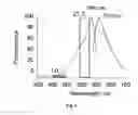 Fig. 04 - Genetically  Encoded Photosensitizers and Methods for Using Same