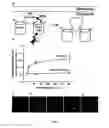 Fig. 08 - Genetically  Encoded Photosensitizers and Methods for Using Same