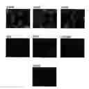 Fig. 01 - Double-stranded and single-stranded RNA molecules with 5′ triphosphates and their use for inducing interferon
