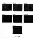 Fig. 02 - Double-stranded and single-stranded RNA molecules with 5′ triphosphates and their use for inducing interferon