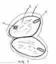 Fig. 02 - Tissue culture medium for and 