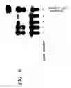 Fig. 08 - Stable lipid-comprising drug delivery complexes and methods for their production
