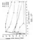 Fig. 18 - Stable lipid-comprising drug delivery complexes and methods for their production