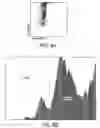 Fig. 09 - Method for determination of nucleated red blood cells and leukocytes in a whole blood sample in an automated hematology analyzer