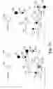 Fig. 09 - Chromatographic test strips for one or more analytes