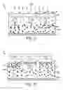 Fig. 08 - Method of field-controlled diffusion and devices formed thereby