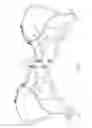 Fig. 05 - Brassiere