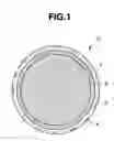 Fig. 02 - Multi-piece solid golf ball