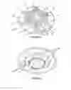 Fig. 02 - Chain wheel