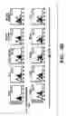Fig. 09 - Method of delivering RNA interference and uses thereof