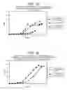 Fig. 02 - Process for production of diphtheria toxin