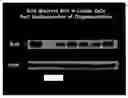 Fig. 01 - Methods of use of bcl-6-derived nucleotides to induce apoptosis