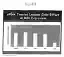Fig. 09 - Methods of use of bcl-6-derived nucleotides to induce apoptosis