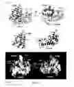 Fig. 02 - MODULATORS OF PHOSPHOTYROSYL PHOSPHATASE ACTIVATOR