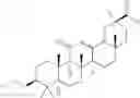 Fig. 22 - 11Beta -Hydroxysteroid Dehydrogenases