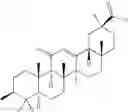 Fig. 32 - 11Beta -Hydroxysteroid Dehydrogenases