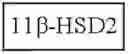 Fig. 40 - 11Beta -Hydroxysteroid Dehydrogenases