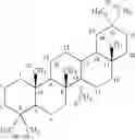 Fig. 41 - 11Beta -Hydroxysteroid Dehydrogenases