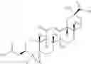 Fig. 45 - 11Beta -Hydroxysteroid Dehydrogenases