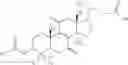 Fig. 46 - 11Beta -Hydroxysteroid Dehydrogenases