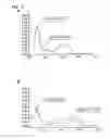 Fig. 07 - Methods of inhibiting nitric oxide synthase using corrin derivatives