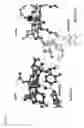 Fig. 09 - Methods of inhibiting nitric oxide synthase using corrin derivatives