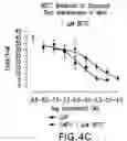 Fig. 08 - TRPV1 ANTAGONISTS AND USES THEREOF