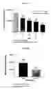 Fig. 02 - Unit dose formulations and methods of treating thrombosis with an oral factor Xa inhibitor