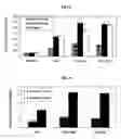Fig. 07 - Unit dose formulations and methods of treating thrombosis with an oral factor Xa inhibitor