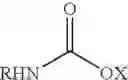 Fig. 02 - FATTY AMINE DRUG CONJUGATES