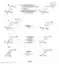 Fig. 06 - Compositions containing, methods involving, and uses of non-natural amino acids and polypeptides