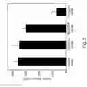 Fig. 07 - Transport of basic fibroblast growth factor across the blood brain barrier
