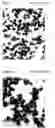 Fig. 02 - Process for making triphenylboron-pyridine compound