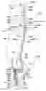 Fig. 01 - Geomorphology for environmental remediation process and systems