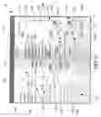 Fig. 07 - System and method for automatic dependent surveillance collection and analysis