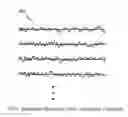 Fig. 06 - Dual-pulse excited linear prediction for speech coding