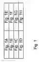 Fig. 02 - Lien/levy inquiry system