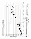 Fig. 17 - METHODS FOR RISK-ADJUSTED PERFORMANCE ANALYSIS