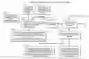 Fig. 01 - METHOD AND SYSTEM FOR PROVIDING CROSS-SYSTEMS SERVICES TO DEVELOPMENTALLY DISABLED YOUTH
