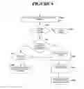 Fig. 05 - Methods for implementing a promotional reward program