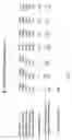 Fig. 12 - METHOD FOR ASSESSING THE STRENGTH OF PATENT PORTFOLIOS AND VALUATING THEM FOR PURPOSES OF MONETIZATION