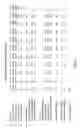 Fig. 14 - METHOD FOR ASSESSING THE STRENGTH OF PATENT PORTFOLIOS AND VALUATING THEM FOR PURPOSES OF MONETIZATION