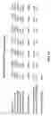 Fig. 15 - METHOD FOR ASSESSING THE STRENGTH OF PATENT PORTFOLIOS AND VALUATING THEM FOR PURPOSES OF MONETIZATION