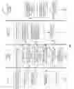 Fig. 06 - Method and system for generating shipping labels
