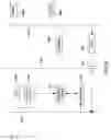 Fig. 09 - Method for message suppression in rule based expert system