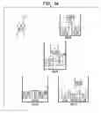Fig. 07 - EFFICIENT PROCESSING OF TREE PATTERN QUERIES OVER XML DOCUMENTS