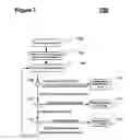 Fig. 06 - CONTENT PROCUREMENT ARCHITECTURE